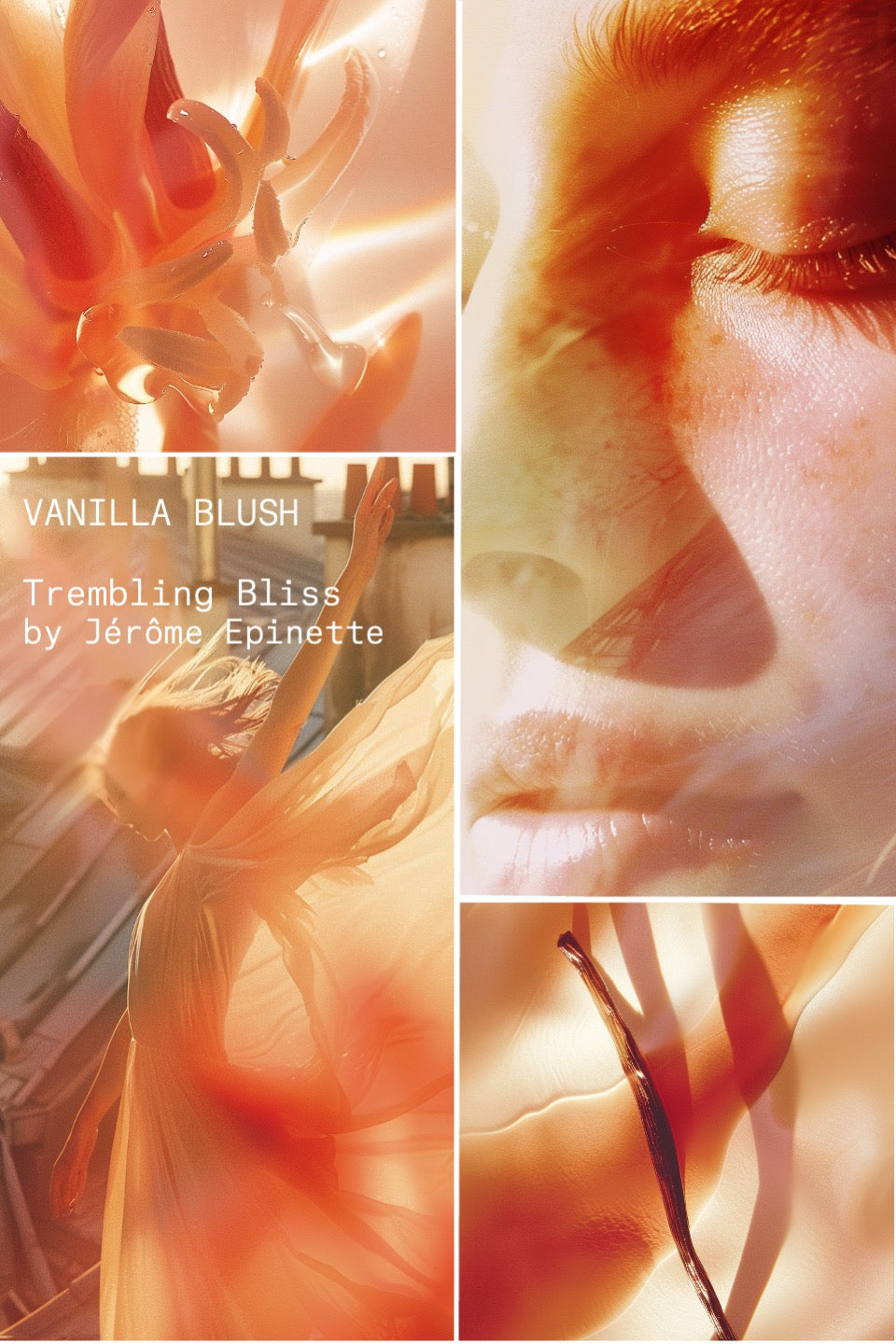 VANILLA BLUSH