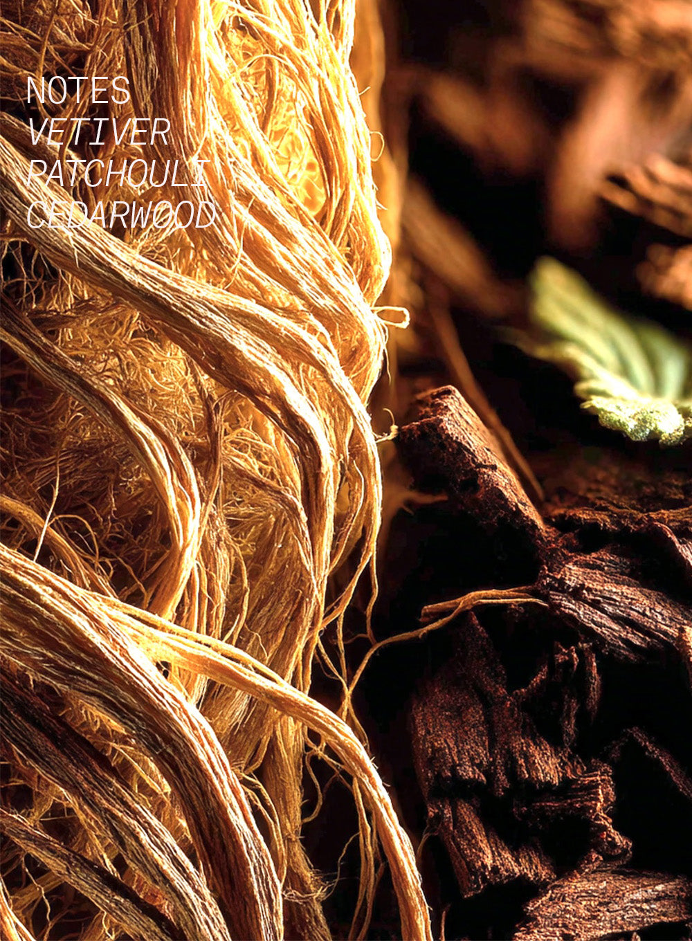 VETIVER ROYAL