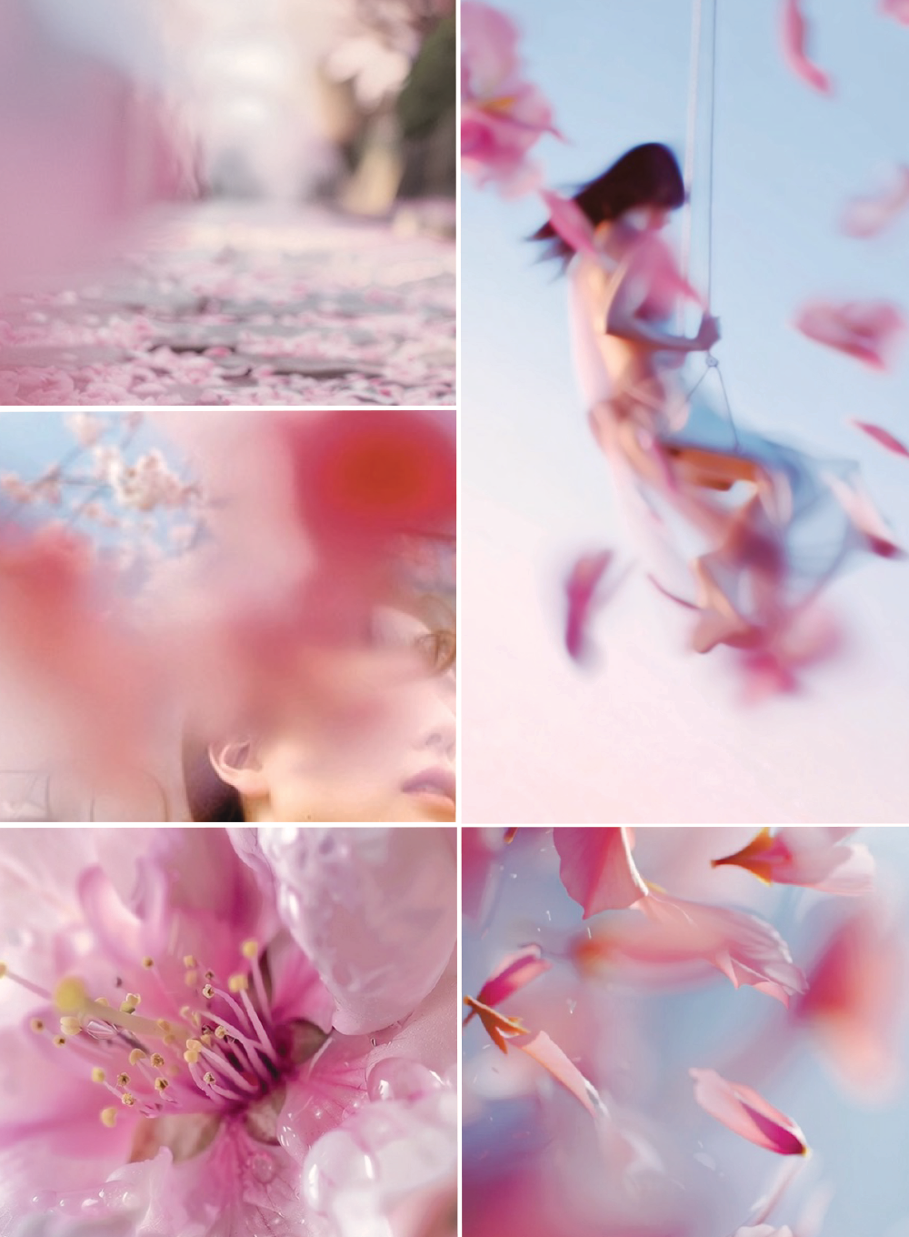 SAKURA KISS